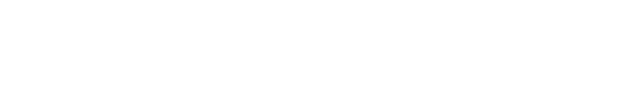 CHANDAL Quantum Group